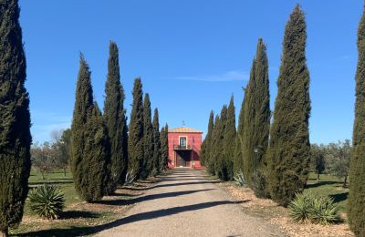 Ferme à vendre Almagro, Almagro, Castille-La Manche, Entrada arbolada con cipreses