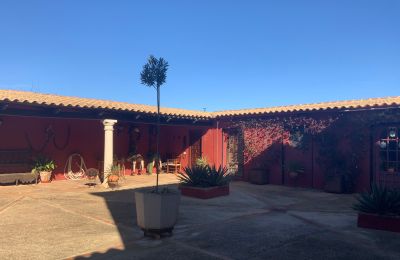 Ferme à vendre Almagro, Almagro, Castille-La Manche, Cour intérieure