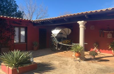 Ferme à vendre Almagro, Almagro, Castille-La Manche, Patio y carruaje