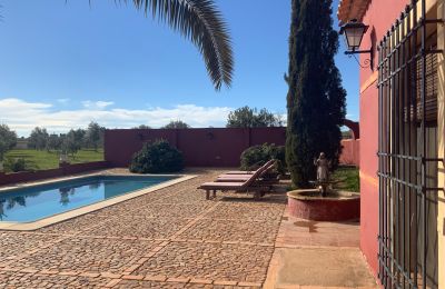 Ferme à vendre Almagro, Almagro, Castille-La Manche, Piscina y solarium