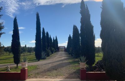 Ferme à vendre Almagro, Almagro, Castille-La Manche, Accès