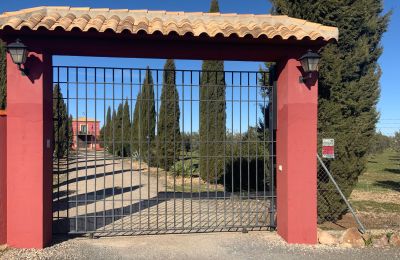 Ferme à vendre Almagro, Almagro, Castille-La Manche, Entrée