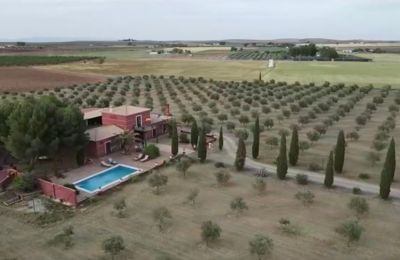 Ferme à vendre Almagro, Almagro, Castille-La Manche, Photo Drone