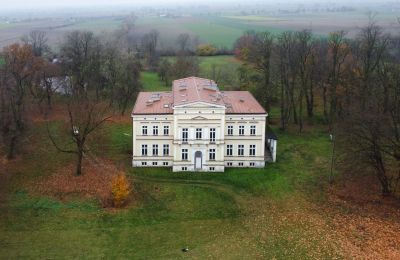 Château à vendre Karszew, Grande-Pologne, Image 7/19