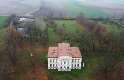 Château à vendre Karszew, Grande-Pologne, Image 8/19