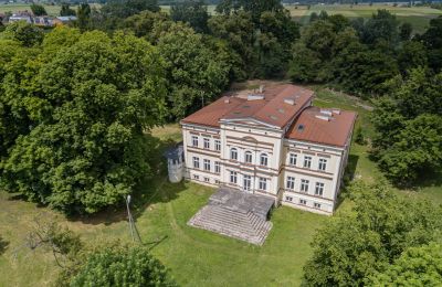 Château à vendre Karszew, Grande-Pologne, Manoir