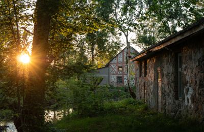 Manoir à vendre Virķēni, Virķēnu muiža, Vidzeme, Image 12/23