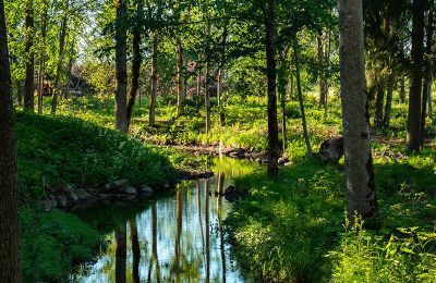 Manoir à vendre Virķēni, Virķēnu muiža, Vidzeme, Image 19/23