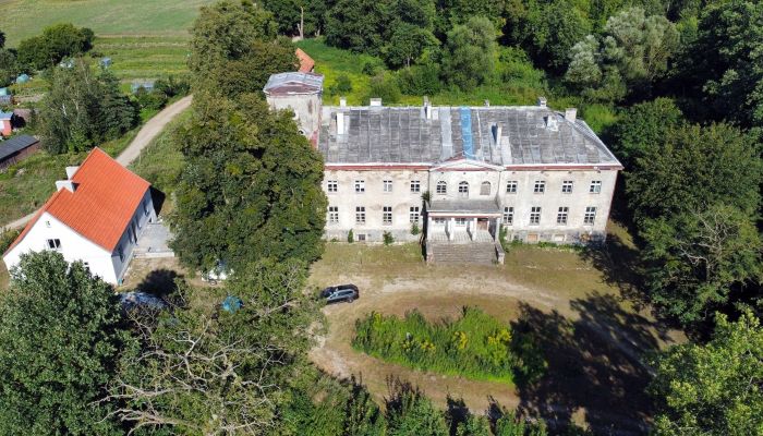 Château à vendre Nerwiki, Varmie-Mazurie,  Pologne