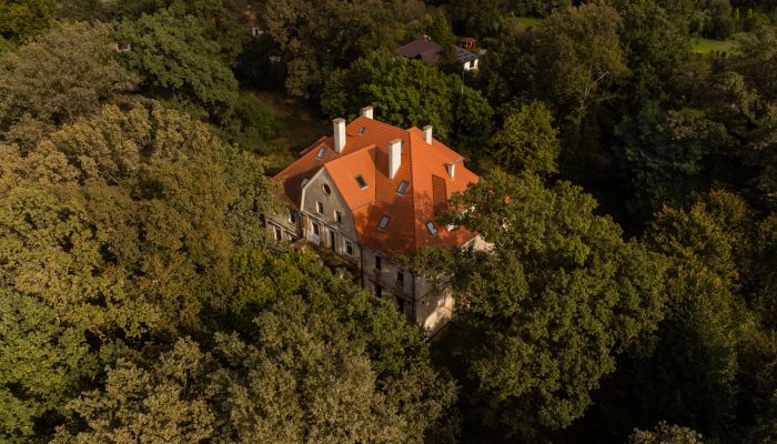 Château à vendre Wilków, Voïvodie d'Opole,  Pologne