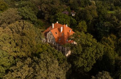 Propriétés, Manoir à Wilków près de Wrocław, région d'Opole