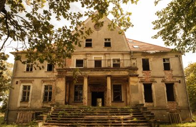 Château à vendre Wilków, Parkowa 1, Voïvodie d'Opole, Vue frontale