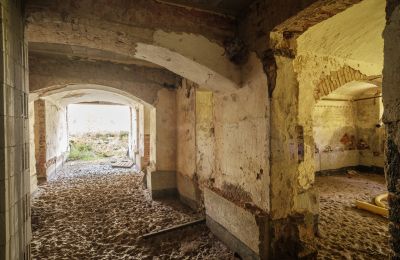 Château à vendre Wilków, Parkowa 1, Voïvodie d'Opole, Cave