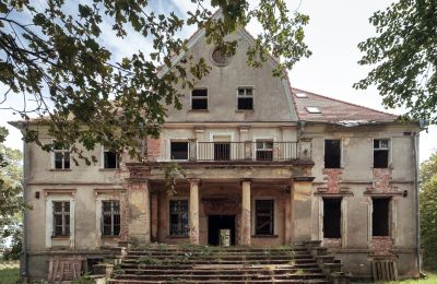 Propriétés, Manoir à Wilków près de Wrocław, région d'Opole