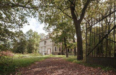 Château à vendre Wilków, Parkowa 1, Voïvodie d'Opole, Accès