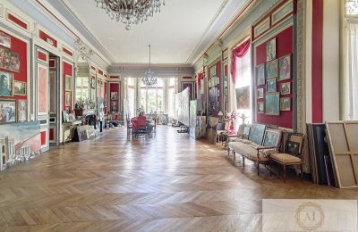 Château à vendre Le Mans, Pays de la Loire, Grande salle