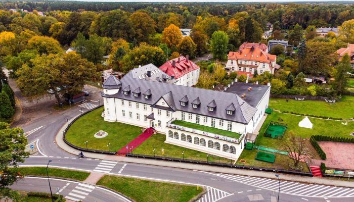 Château à vendre Krupski Młyn, Silésie,  Pologne