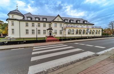 Château à vendre Krupski Młyn, Silésie, Image 18/21