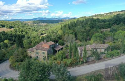 Ferme à vendre 06010 Monte Santa Maria Tiberina, Ombrie, Image 1/50