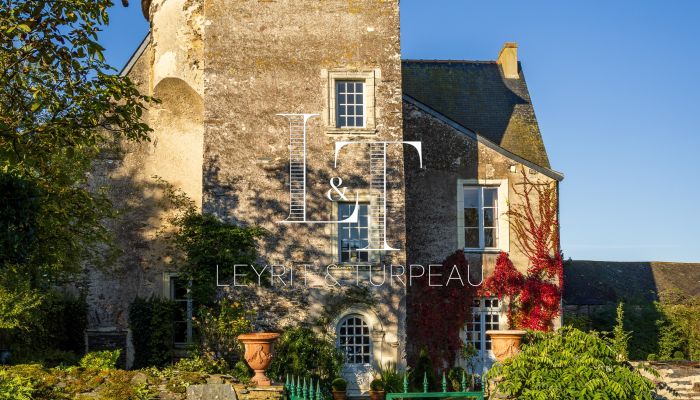 Manoir à vendre Pays de la Loire,  France, 1