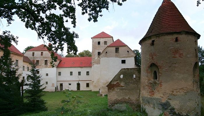 Château médiéval Witostowice 2