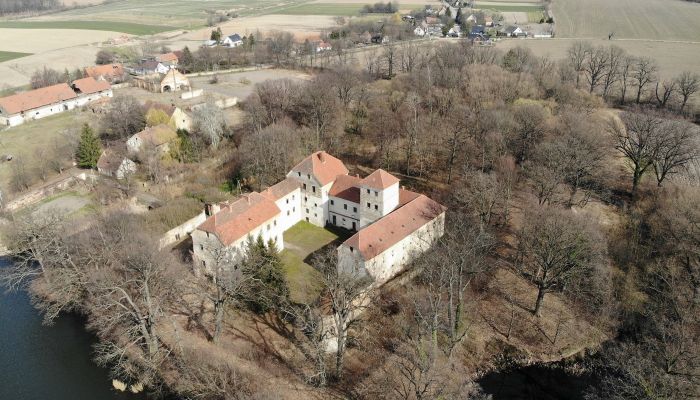 Château médiéval Witostowice 1