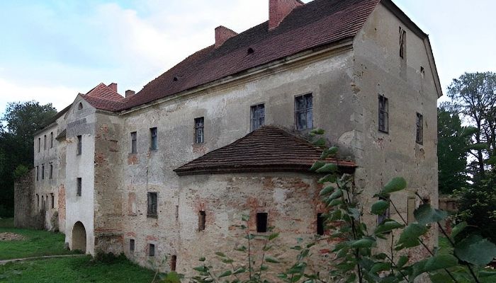 Château médiéval Witostowice 4