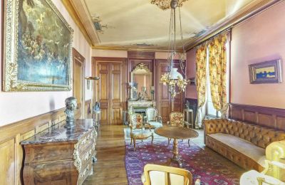 Villa historique à vendre Vernaison, Auvergne-Rhône-Alpes, Salle de séjour