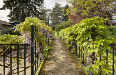 Villa historique à vendre Vernaison, Auvergne-Rhône-Alpes, Image 21/29