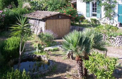 Maison de campagne à vendre Sóller, Cami de Cas Carreter 5, Îles Baléares, Image 9/12