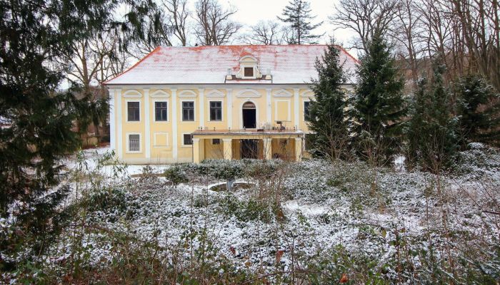 Château à vendre Plzeňský kraj, okres Klatovy, Klatovy,  République tchèque