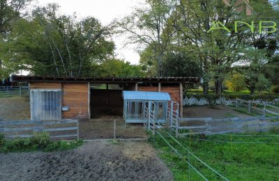 Manoir à vendre Busserolles, Nouvelle-Aquitaine, Image 12/27