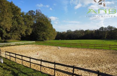 Manoir à vendre Busserolles, Nouvelle-Aquitaine, Terrain