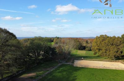 Manoir à vendre Busserolles, Nouvelle-Aquitaine, Image 15/27