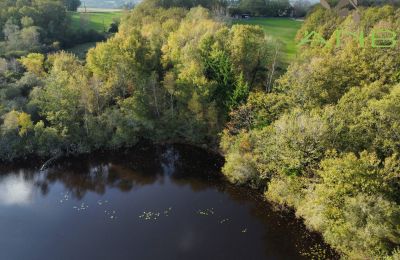 Manoir à vendre Busserolles, Nouvelle-Aquitaine, Image 18/27