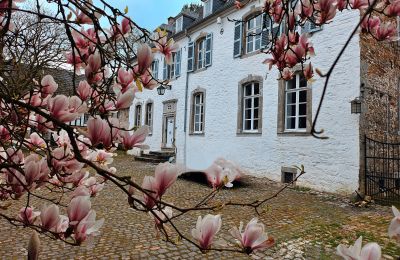 Château à vendre Astenet, Wallonie, Image 11/22