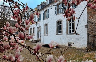 Château à vendre Astenet, Wallonie, Manoir