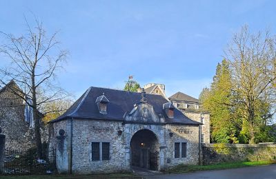 Château à vendre Astenet, Wallonie, Image 2/28