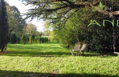 Manoir à vendre Mirambeau, Nouvelle-Aquitaine, Terrain