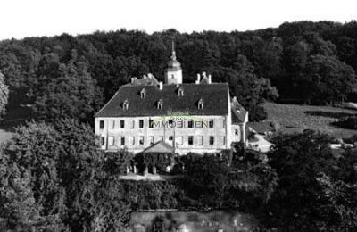 Château à vendre 04603 Nobitz, Am Schloß 3, Thuringe, Schloss Ehrenhain 1