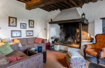 Maison de campagne à vendre Castellina in Chianti, Toscane, Cheminée