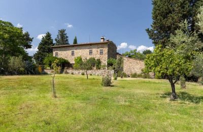 Maison de campagne à vendre Castellina in Chianti, Toscane, Terrain