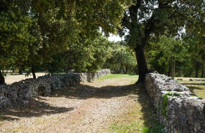 Propriété historique à vendre Occitanie, Image 30/32