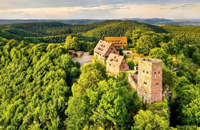 Château médiéval 67330 Dossenheim-sur-Zinsel, Grand-Est