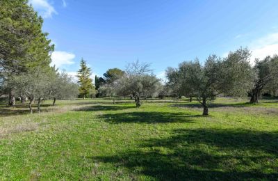 Maison de campagne à vendre Uzès, Occitanie, Image 14/14