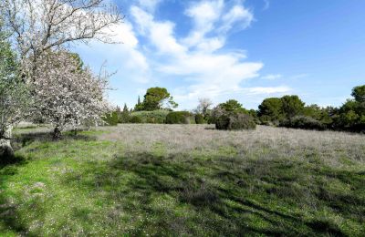 Maison de campagne à vendre Uzès, Occitanie, Terrain