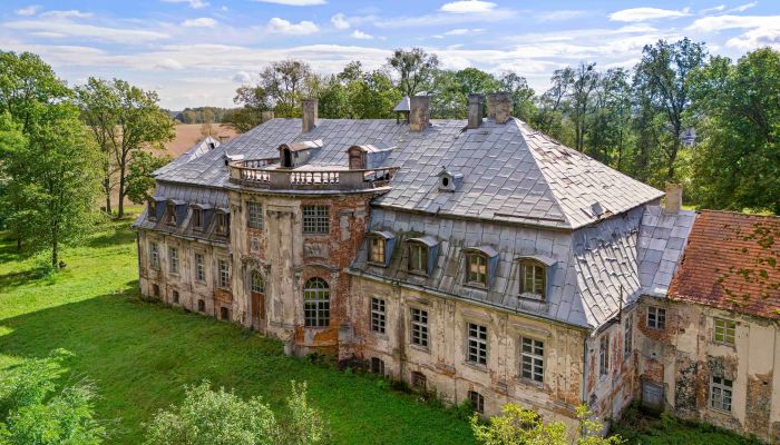 Château à vendre Minkowskie, Voïvodie d'Opole,  Pologne