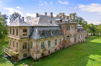 Château à vendre Minkowskie, Minkowskie 69, Voïvodie d'Opole, Image 10/43