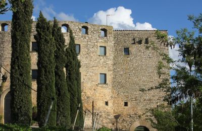 Château médiéval Granyanella, Catalogne