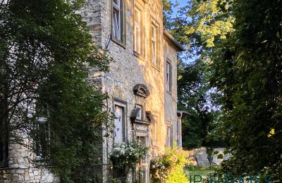 Château à vendre 06632 Gleina, Saxe-Anhalt, Außenansicht